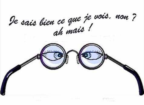 lunettes3