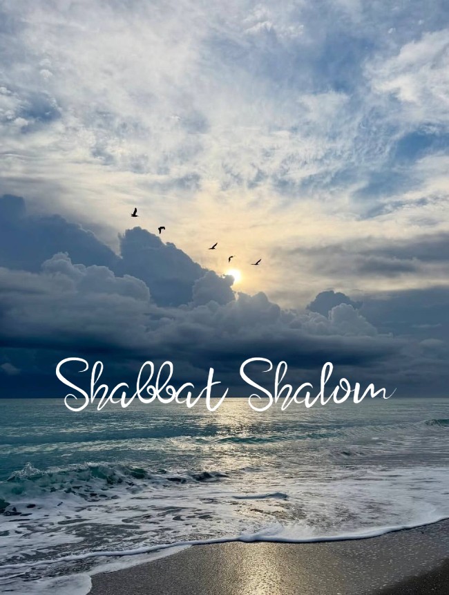 Shabbat Shalom du 23 janvier 2026