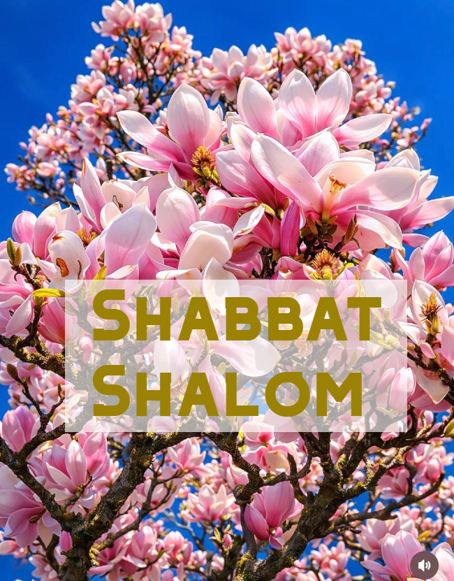 Shabbat Shalom du 20 mars 2026