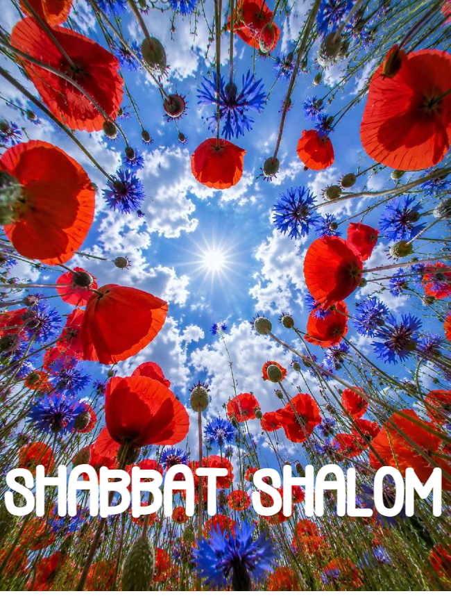 Shabbat Shalom du 12 juin 2026
