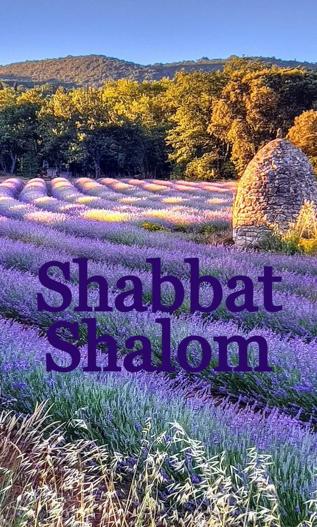 Shabbat Shalom du 28 aout 2026