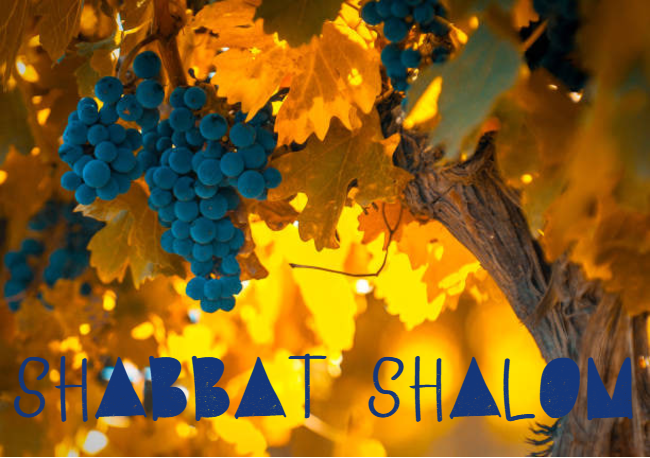 Shabbat Shalom du 4 septembre 2026