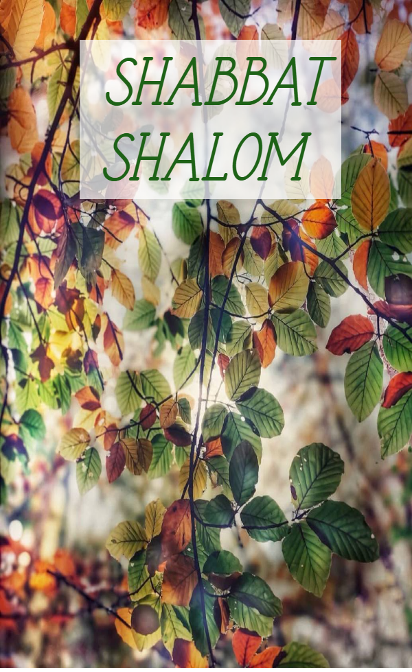 Shabbat Shalom du 9 octobre 2026