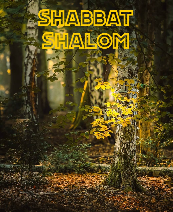 Shabbat Shalom du 2 octobre 2026