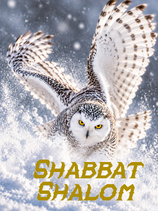 Shabbat Shalom du 23 octobre 2026